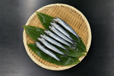 片口いわし丸干し