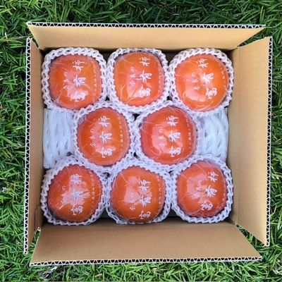 小春日和（koharubiyori)