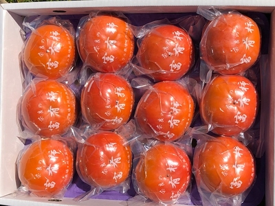 保存富有柿-2L-12個（化粧箱）