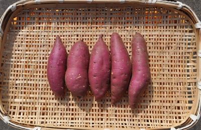 新物！　シルクスイート　サツマイモ　(Sサイズ)　5kg