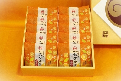 ひと切れ一六タルト「甘夏みかん」10個入