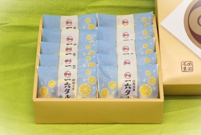 ひと切れ一六タルト「塩レモン」10個入