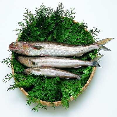 かまぼこ ページ 谷本蒲鉾 詰合せ | 株式会社 谷本蒲鉾店