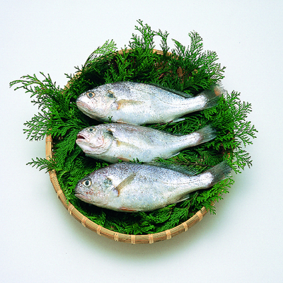 【かまぼこページ】 練技かまぼこ | 谷本蒲鉾店