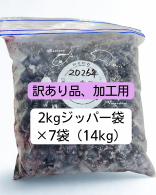 【2026年度産】訳あり冷凍ブルーベリー14kg