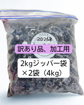 【2026年度産】訳あり冷凍ブルーベリー4kg