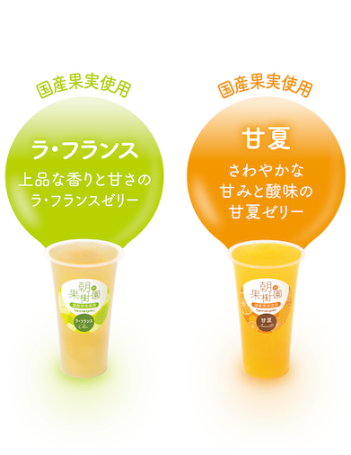 朝の果樹園各種