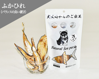 乾燥ふかひれジャーキー
