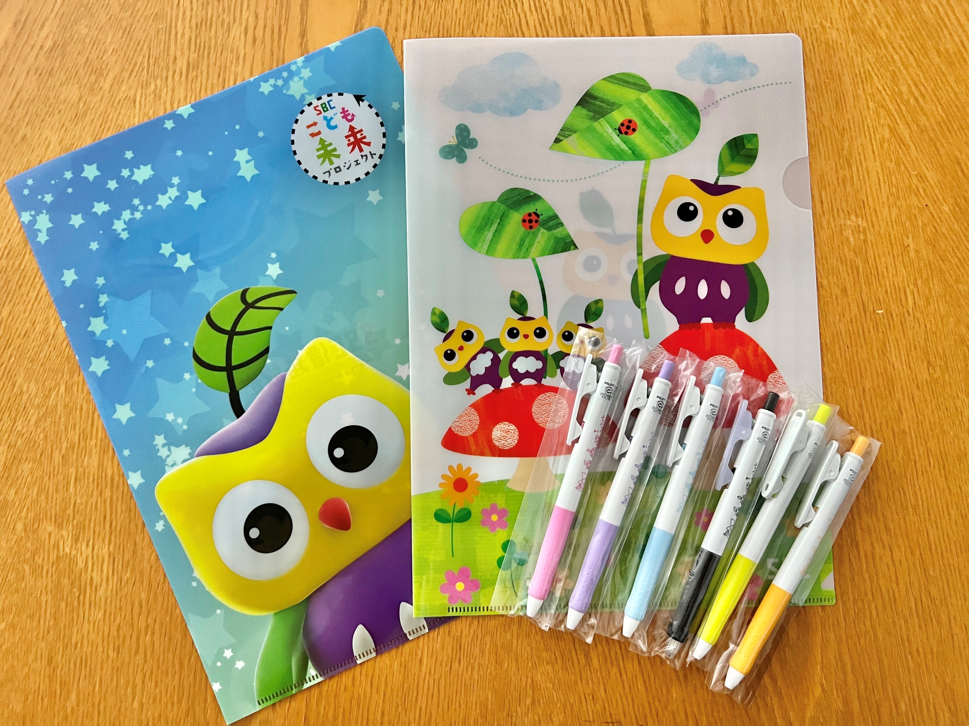 理英会 幼児 2.3歳しゅくだいノートセット 年少用もっとお勉強セット 専用ペン 理英会 幼児 2.3歳しゅくだいノートセット 年少用もっとお勉強