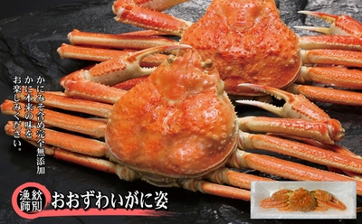 おおずわいがに姿