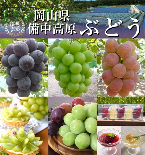 日植ファーム オンライン