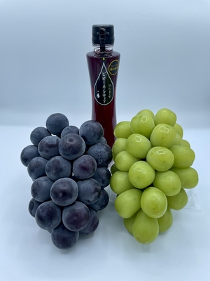 【ご贈答用】大粒ぶどうとピオーネシロップセット