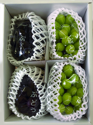 黒白詰め合わせセット（約2ｋｇ）}