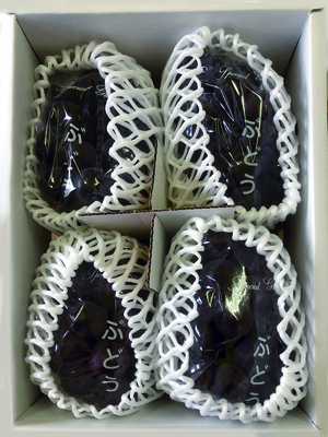 黒ブドウのセット（約2ｋｇ）