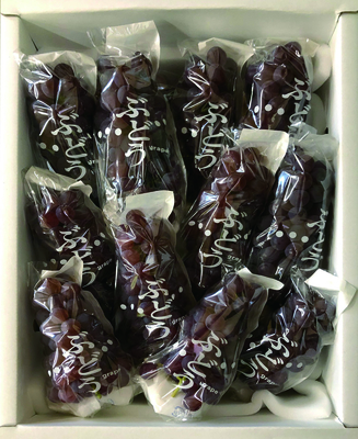 デラウェア　（約2kg）