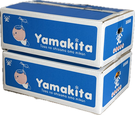 山北みかん　柑橘　5kg 02 山北みかん 柑橘 5kg 02