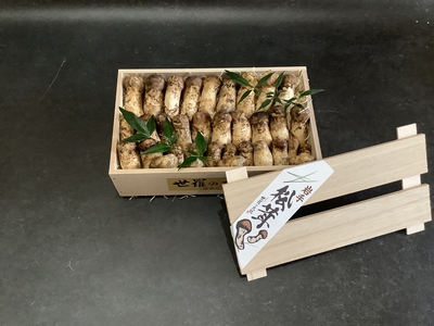 コロ　桐箱入り（送料無料）