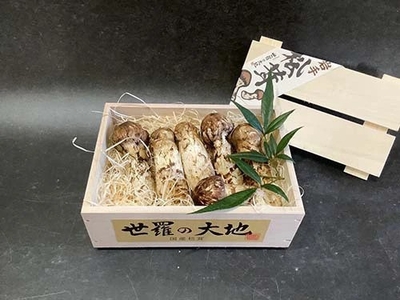秋の香り《上つぼみや上ひらき》150ｇ　　　（送料無料）