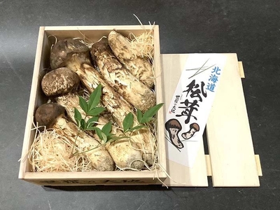 秋の香り《上つぼみや上ひらき》230ｇ　　　（送料無料）