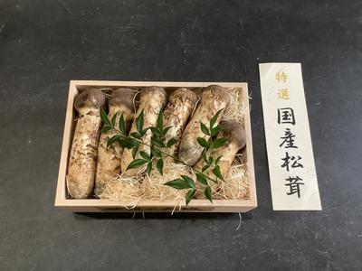 【特選】金　 (送料無料)