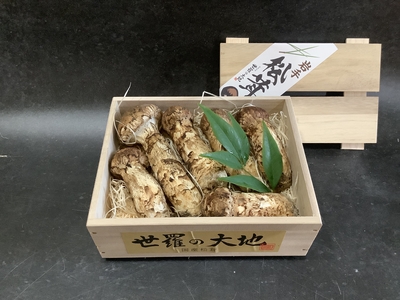 秋の香り《上つぼみや上ひらき》230ｇ（送料無料）