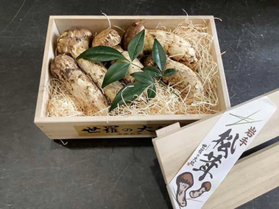 秋の香り《上つぼみや上ひらき》290ｇ（送料無料）