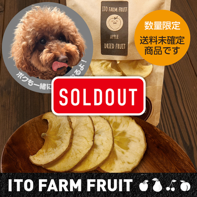 【数量限定】ドライフルーツ　りんごきみと