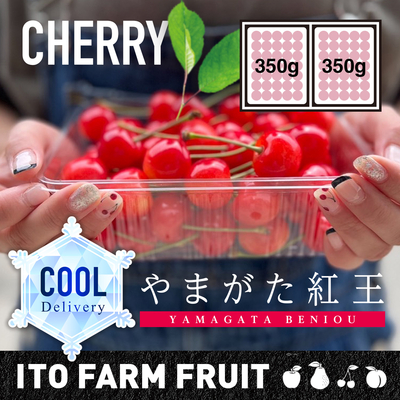 COOL配送　やまがた紅王　700g【別途送料・クール代】