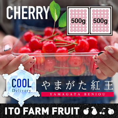 COOL配送　やまがた紅王　1kgパックバラ【別途送料・クール代】