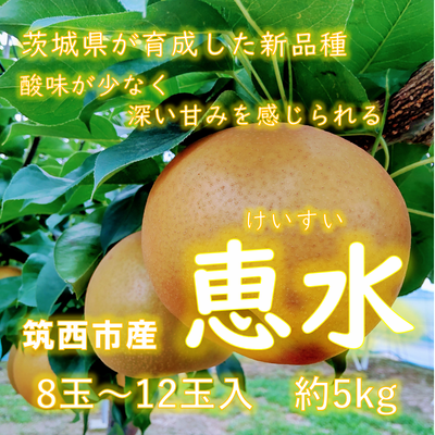 恵水梨　約５ｋｇ　８玉～１２玉入