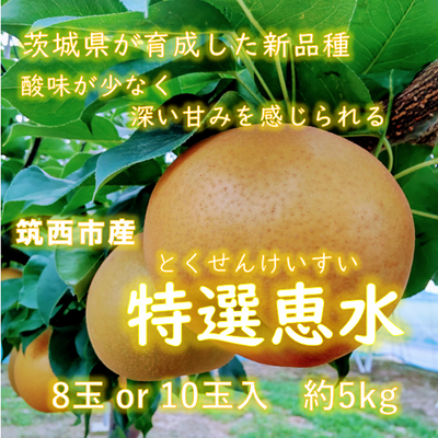 特選恵水梨　約５ｋｇ　（８玉  or  １０玉入）