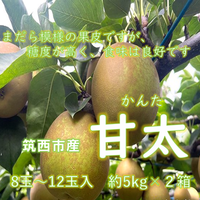 甘太梨　約５ｋｇ × ２箱　８玉～１２玉入
