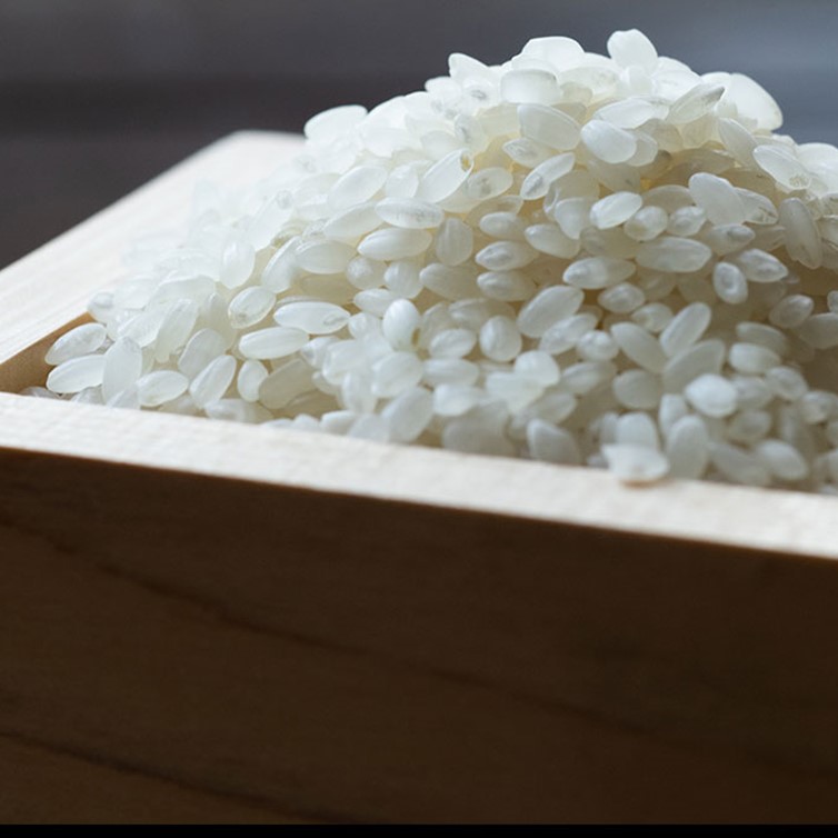 令和7年度産 北つくばｺｼﾋｶﾘ（精米）5kg | きらいちネットショップ