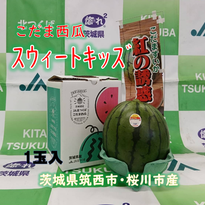 こだま西瓜（紅の誘惑）スウィートキッズ　2L　1玉入