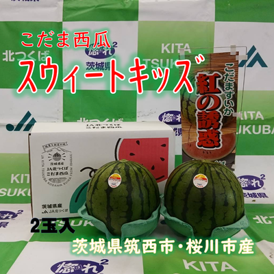 こだま西瓜（紅の誘惑）スウィートキッズ　L　２玉入