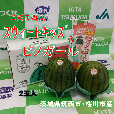 こだま西瓜（紅の誘惑）食べ比べセット　L　２玉入　