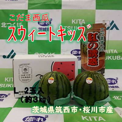 こだま西瓜（紅の誘惑）スウィートキッズ　L　２玉入