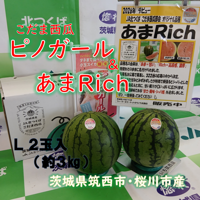 こだま西瓜（紅の誘惑）ピノガール＆あまＲｉｃｈ　食べ比べセット　L　２玉入