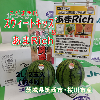 こだま西瓜（紅の誘惑）スウィートキッズ＆あまＲｉｃｈ　食べ比べセット　2L　２玉入　