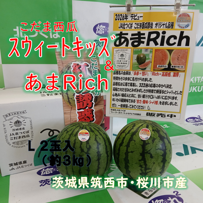 こだま西瓜（紅の誘惑）スウィートキッズ＆あまＲｉｃｈ　食べ比べセット　L　２玉入　