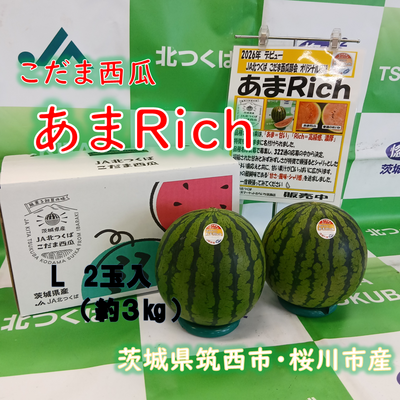 こだま西瓜（紅の誘惑）あまRich　L　2玉入