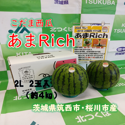 こだま西瓜（紅の誘惑）あまRich　2L　2玉入