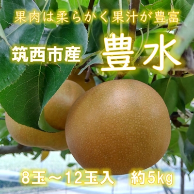 豊水梨　約５ｋｇ　８玉～１２玉入