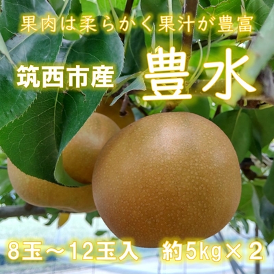 豊水梨　約５ｋｇ × ２箱　８玉～１２玉入