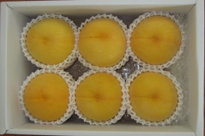 155黄金桃 約2kg（5～7玉）
