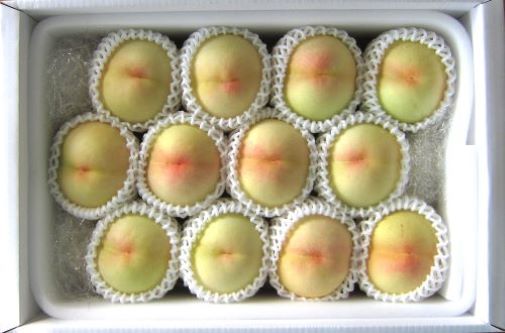 111岡山夢白桃 贈答用4kg（9玉～13玉） | 藤原園芸