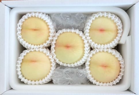 118岡山白桃 贈答用1.5kg（5玉～6玉） | 藤原園芸