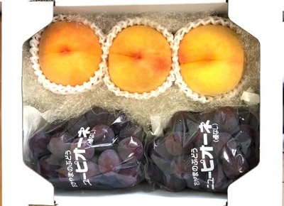 630黄金桃・ピオーネ約2㎏（優）