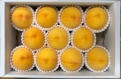 154黄金桃 約４kg