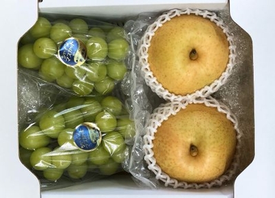 635シャインマスカット2・梨2~3 2㎏